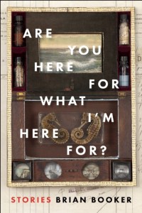 ARE-YOU-HERE-by-Brian-Booker-9781942658122